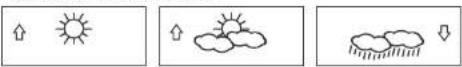 LA CROSSE TECHNOLOGY WS9032U - Weather Icons - 1