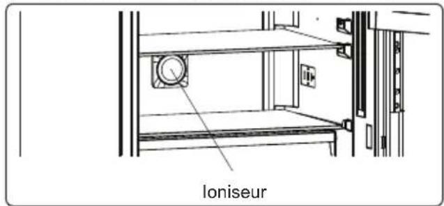 loniseur