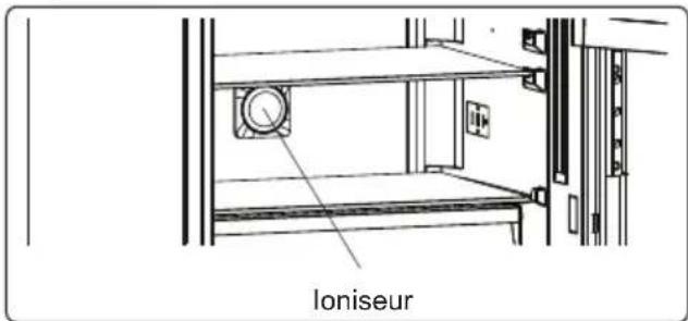 loniseur