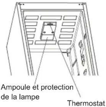 Ampoule et protection de la lampe Thermostat