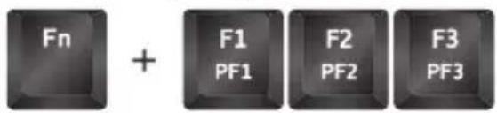 Fn + F1 PF1 F2 PF2 F3 PF3