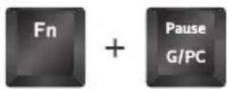 Fn + Pause G/PC