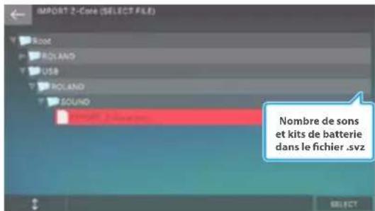 ROLAND FANTOM06 - Sélectionnez le type de son à importer. - 1