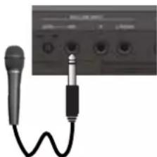 ROLAND FANTOM06 - Connexion d'un micro - 1