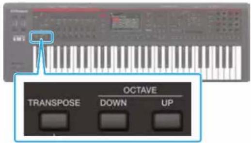 ROLAND FANTOM08 - Maintenez enfoncé le bouton [TRANSPOSE] et appuyez sur le bouton OCTAVE [DOWN] [UP]. - 1