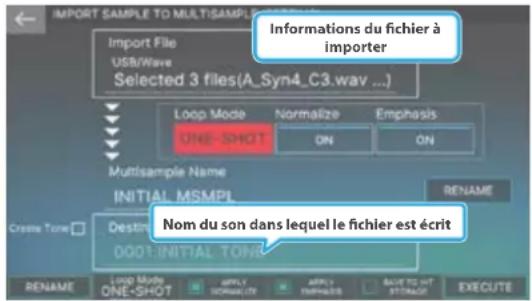 IMPORT SAMPLE TO MULTISAMPLE Import File USB/Wave Selected 3 files(A_Syn4_C3.wav ...) Informations du fichier à importer Loop Mode Normalize Emphasis ONE-SHOT ON ON Multisample Name INITIAL_MSMPL RENAME Destin 0001:INITIAL_TONG Nom du son dans lequel le fichier est écrit RENAME Loop Mode ONLY ENGLISH APPLY ENGLISH RACE TO OUT STRAWL EXECUTE