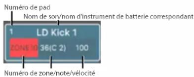 Numéro de pad Nom de son/nom d'instrument de batterie correspondant 1 LD Kick 1 ZONE 10 36(C 2) 100 Numéro de zone/note/vélocité