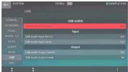 SYSTEM ZONE: SAMPLE PAD USB OTHER KEYBOARD PEDAL WHEEL 1/2 S1/2 SLCDR AVOC USB MDD USB AUDIO USB Audio Input Channel USB Audio Input Level USB Audio Input Switch USB Audio Input Level Output USB Audio Output Switch USB Audio Output Level USB Audio Output Level ON ON ON ON ON ON ON ON ON ON