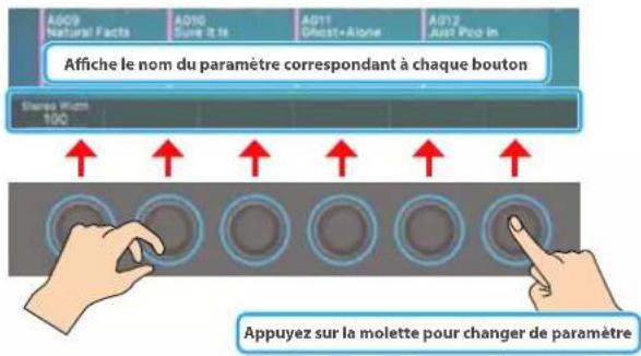 Add09 Natural Facts Add10 Sure It Is Add11 Dhest•Alone Add12 Just Plug-In Affiche le nom du paramètre correspondant à chaque bouton Stereo Max 100 Appuyez sur la molette pour changer de paramètre