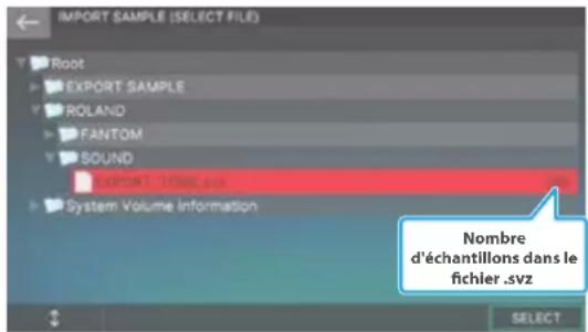 IMPORT SAMPLE (SELECT FILE) Root EXPORT SAMPLE ROLAND FANTOM SOUND Export 1 - HTML .svz System Volume Information Nombre d'échantillons dans le fichier .svz SELECT