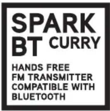 NGS Spark Curry BT - PRINCIPALES CARACTÉRISTIQUES - 2