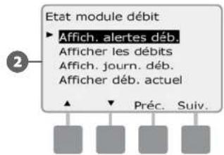 RAIN BIRD ESPLXD - Effacer les alarmes de débit - 4