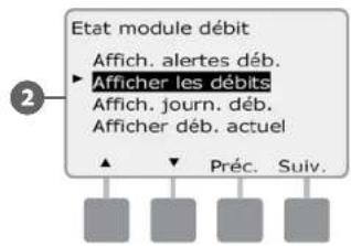 RAIN BIRD ESPLXD - Afficher les débits des FloZones™ - 4