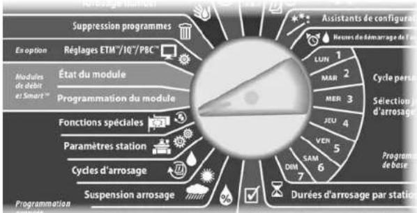 RAIN BIRD ESPLXD - Configurer la langue - 2