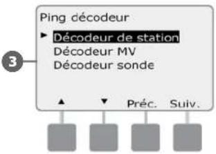 RAIN BIRD ESPLXD - Ping des décodeurs - 5