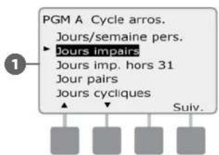 RAIN BIRD ESPLXD - Personnalisé, Impair, Impair hors 31, Pair - 3