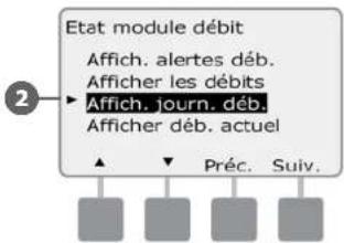 RAIN BIRD ESPLXD - Afficher et effacer les journaux des débits - 6