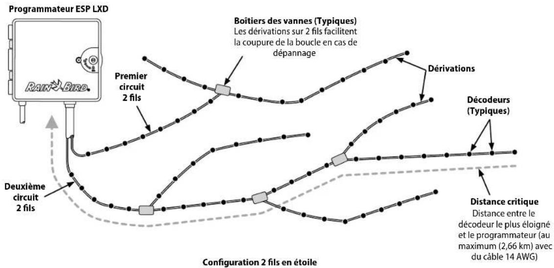 RAIN BIRD ESPLXD - Configuration en étoile - 1