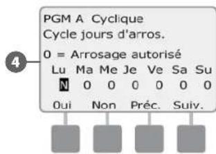 RAIN BIRD ESPLXD - Jours cycliques - 6