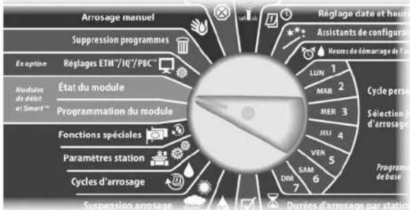 RAIN BIRD ESPLXD - État Smart Module - 2