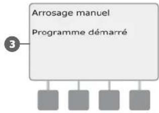 RAIN BIRD ESPLXD - Démarrer manuellement un programme - 6