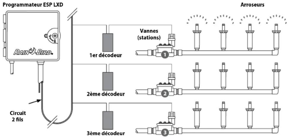 RAIN BIRD ESPLXD - Les vannes (ou stations) fonctionnent aux heures spécifiées par les programmes d'arrosage. - 1