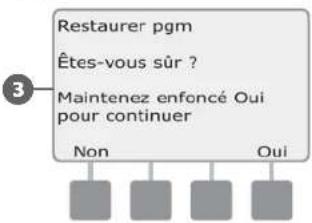 RAIN BIRD ESPLXD - Rappeler les programmes par défaut - 5