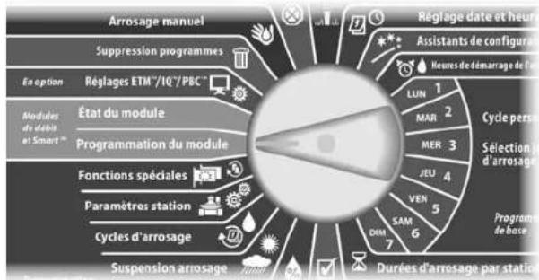 RAIN BIRD ESPLXD - Configurer manuellement les débits - 2