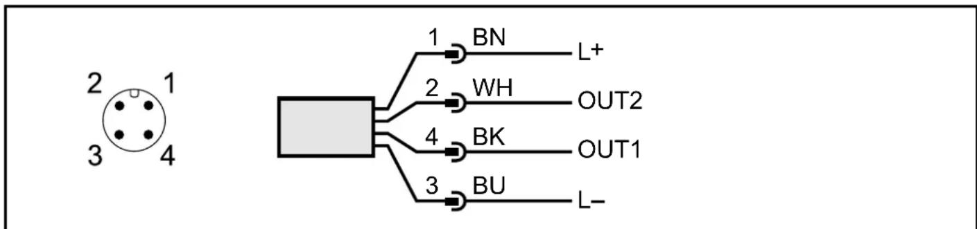 IFM SD5800 - Raccordement électrique - 2