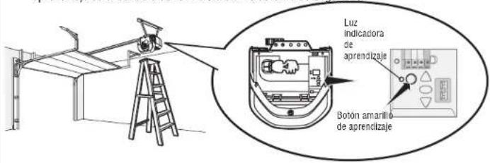 CHAMBERLAIN 050DCTBMC - Programar un control remoto con el botón learn (aprender) - 1