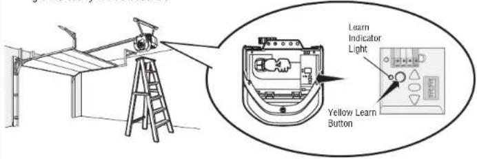 CHAMBERLAIN 050DCTBMC - Program a remote using the learn button - 1