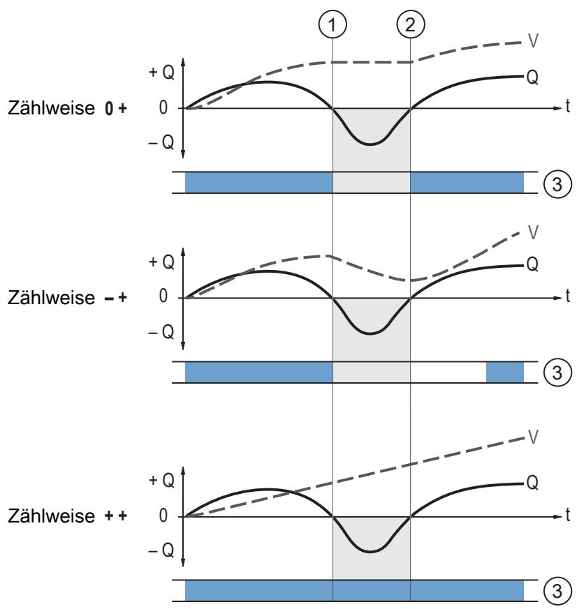 IFM SM4020 - Zählweise der Totalisatoren - 1
