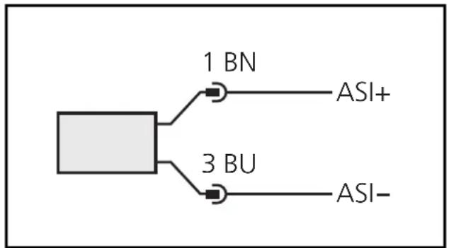 IFM TAA131 - Anschluß an das AS-i-Netz - 1