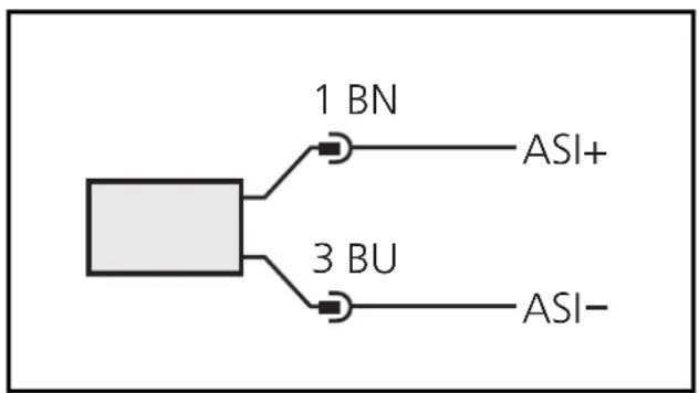 IFM TAA131 - Connection to the AS-i system - 1