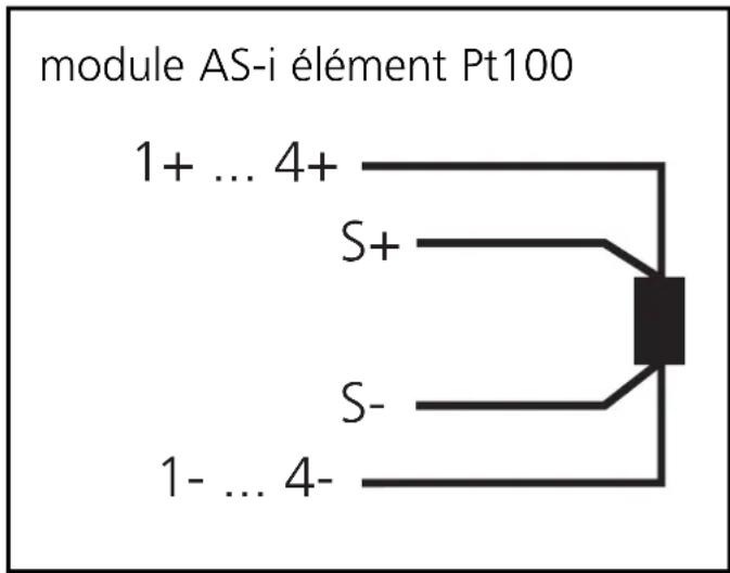 IFM AC2220 - Raccordement électrique - 2