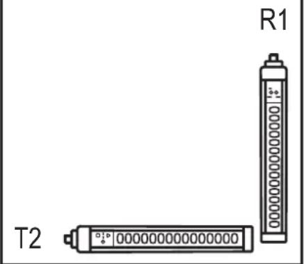 R1 T2