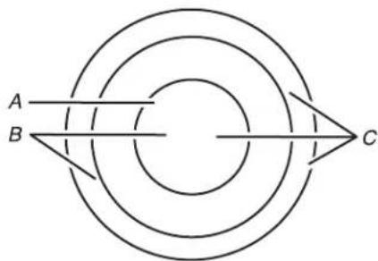 JENN-AIR JEC4536HB - Dual/Triple Element - 1