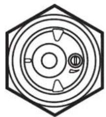 IFM DI5021 - Données techniques - 2