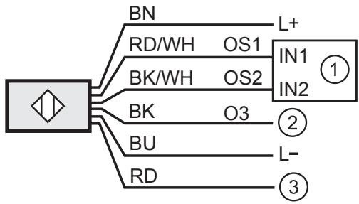 IFM MN700S - Electrical connection - 4
