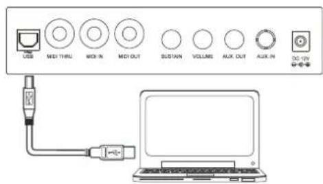 Medeli A810 - Connexion d'une clé USB - 4