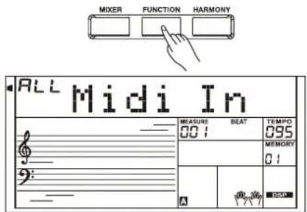Medeli A810 - MIDI in (entrée MIDI) - 1