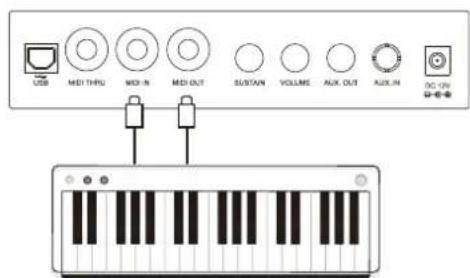 Medeli A810 - Connexion d'une clé USB - 5