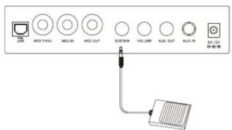 Medeli A810 - Connexion d'une pédale forte (sustain) - 1
