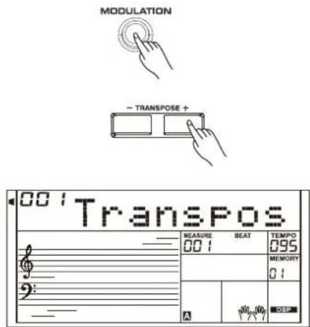 Medeli A810 - Modulation - 3