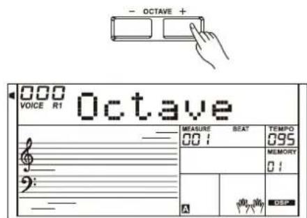 Medeli A810 - Modulation - 4