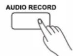 Medeli DP460KRW - Enregistrement audio - 3