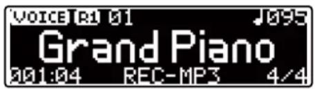 Medeli DP460KRW - Enregistrement audio - 2