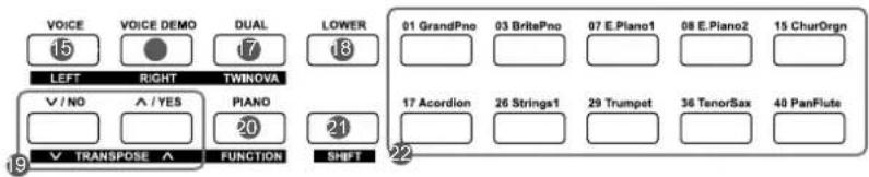 Medeli DP460KRW - Face avant - 3