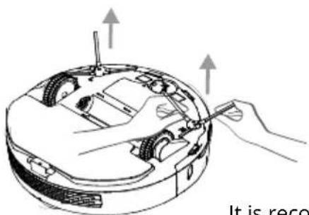 Niceboy ION Charles i9 - Cleaning of the side brush - 1