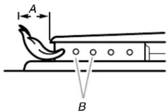 A B